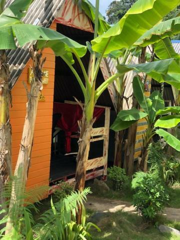 Beach Shack Chalet - Garden View Aframe Small Unit Kampong Juara المظهر الخارجي الصورة